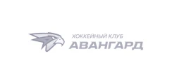 Хокейный клуб Авангард logo